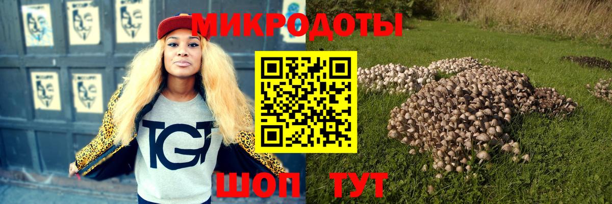 Москва  Галлюциногенные грибы Psilocybine cubensis  Вход с VPN 