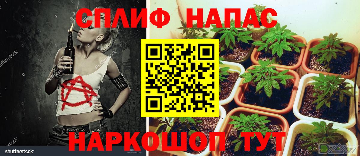 Бошки Шишки MAZAR  Бошки Шишки сатива  Москва  Канабис THC 21%  Вход с VPN 